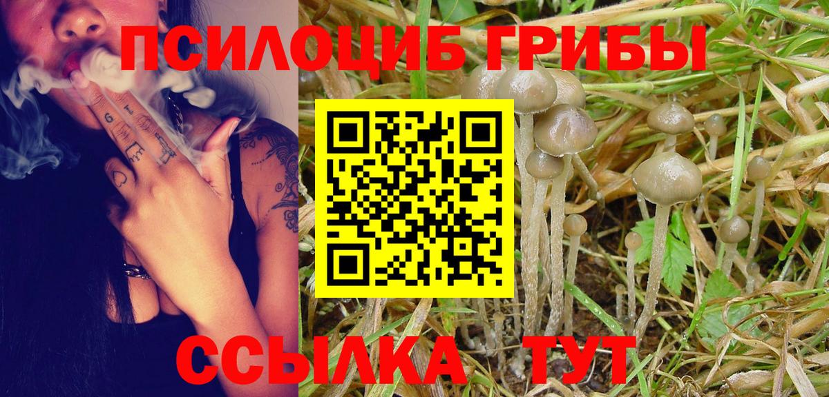 цены   Псилоцибиновые грибы GOLDEN TEACHER  Вход с VPN  Белово 