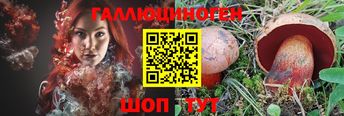 Псилоцибиновые грибы Psilocybe Белово
