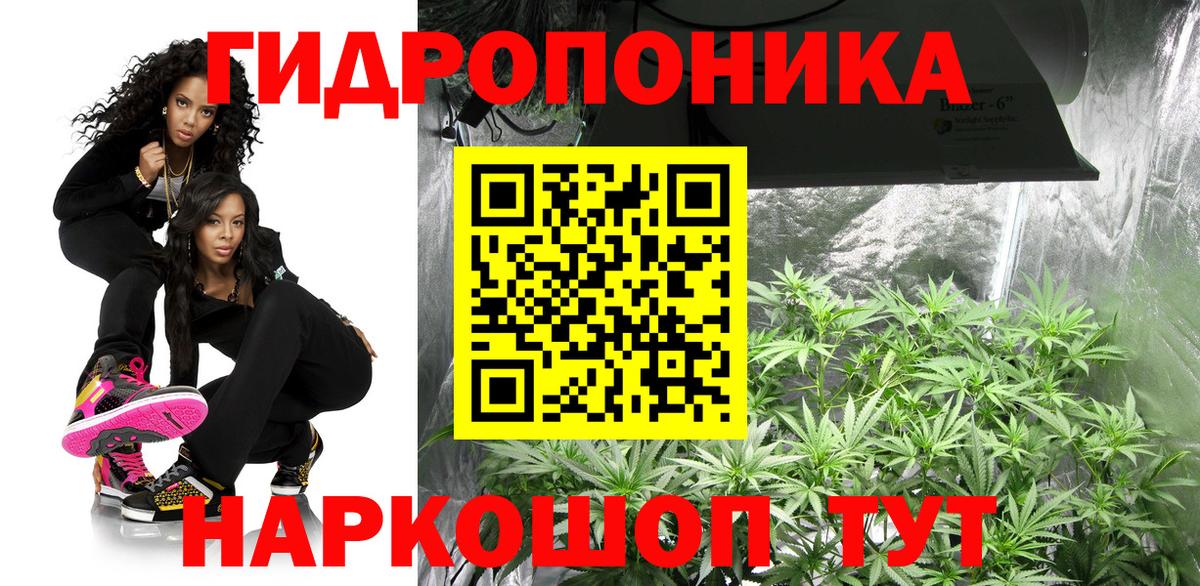 Шишки марихуана сатива  МАРИХУАНА White Widow  Вход с VPN  Марихуана план  Белово  Шишки марихуана семена 